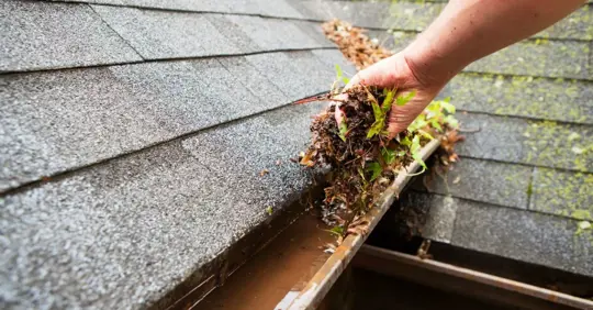 Man clearing a clogged gutter