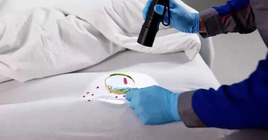 professional bed bug inspection